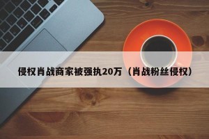 侵权肖战商家被强执20万（肖战粉丝侵权）