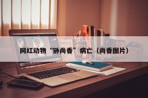 网红动物“狲尚香”病亡（尚香图片）