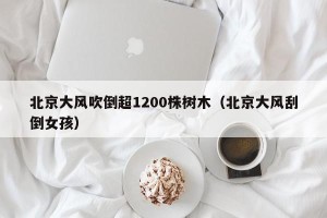 北京大风吹倒超1200株树木（北京大风刮倒女孩）