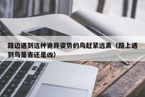 路边遇到这种诡异姿势的鸟赶紧远离（路上遇到鸟是吉还是凶）