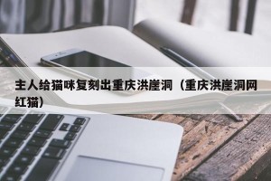 主人给猫咪复刻出重庆洪崖洞（重庆洪崖洞网红猫）
